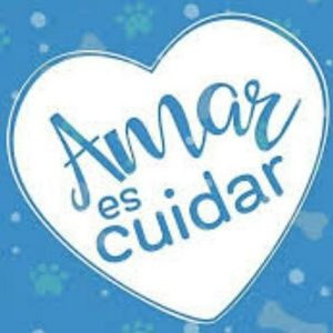 Meet your Posher, Felicitas